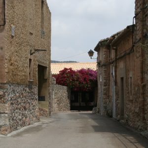 Fotografía de una calle con casas