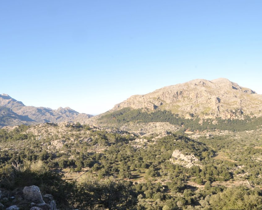 Fotografía del Puig Roig