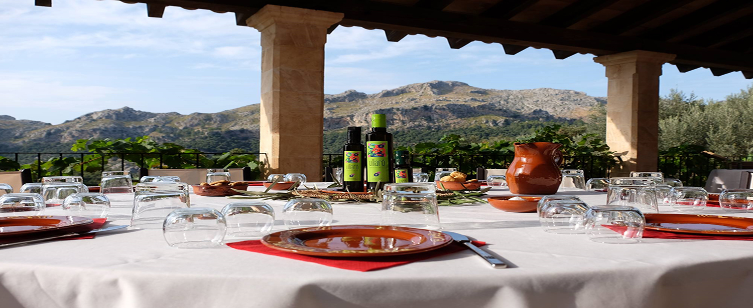 Mesa de comedor con varias botellas de aceite de Aceite Ullaro